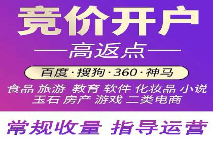 热门SEM运营公司案例深度剖析